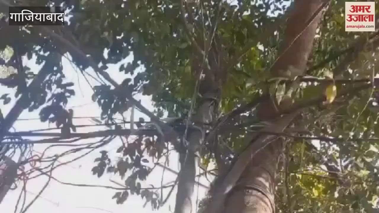 VIDEO : The naked electric wires in Chitragupta Park of Vaishali are inviting accidents