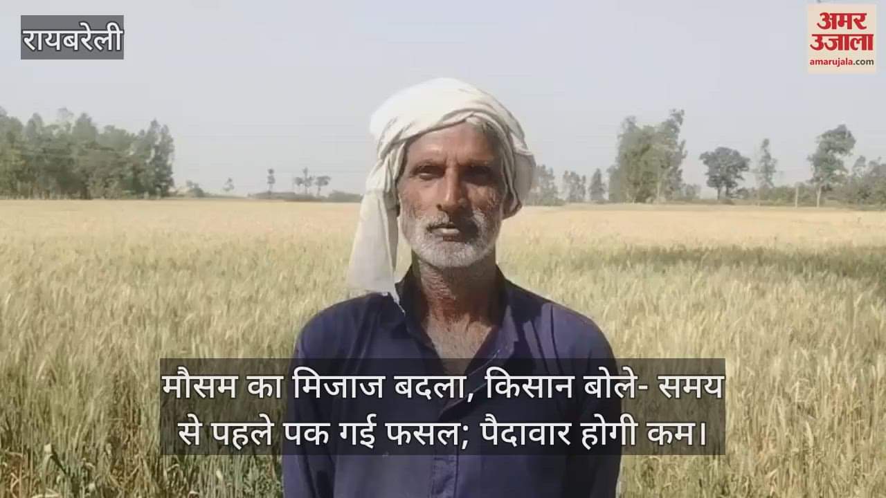 VIDEO : मौसम का मिजाज बदला, किसान बोले- समय से पहले पक गई फसल; पैदावार होगी कम