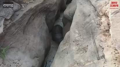VIDEO : An elephant cub got separated from the herd and fell into a pit