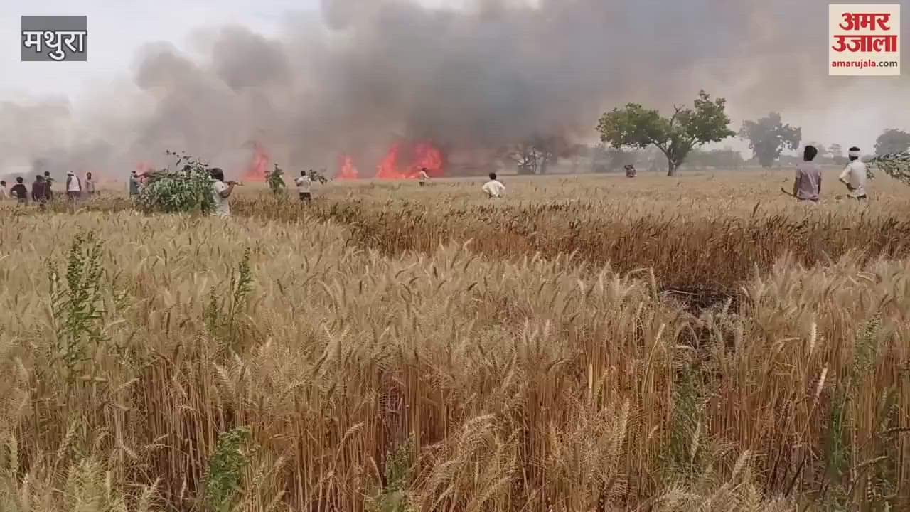 VIDEO : fire in wheat crop