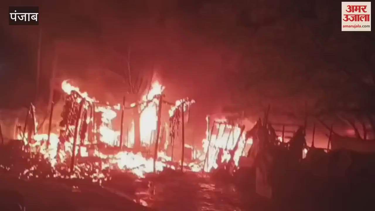 VIDEO : Fire broke out in huts built in Moga's Lakkar Mandi