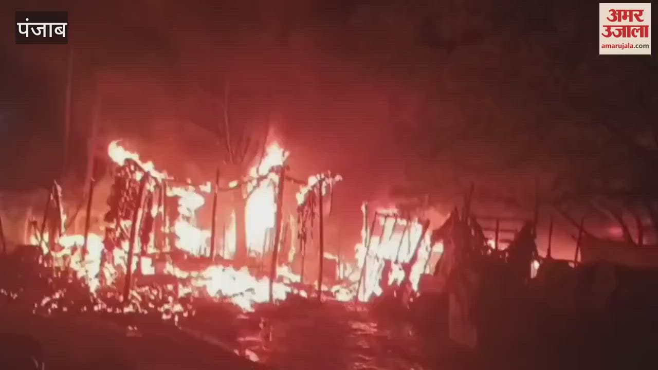 VIDEO : Fire broke out in huts built in Moga's Lakkar Mandi