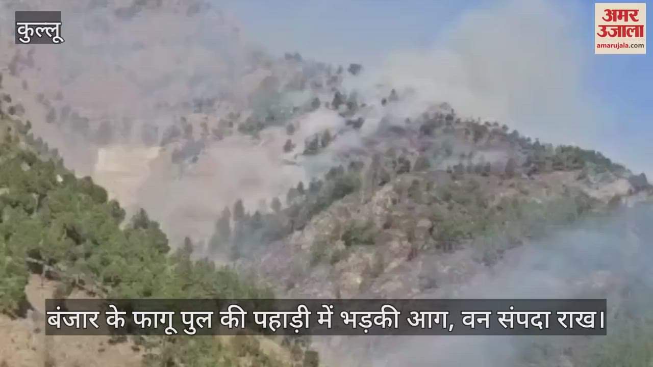 VIDEO : Fire broke out in the Fagupul hills of Banjar, forest wealth turned to ashes