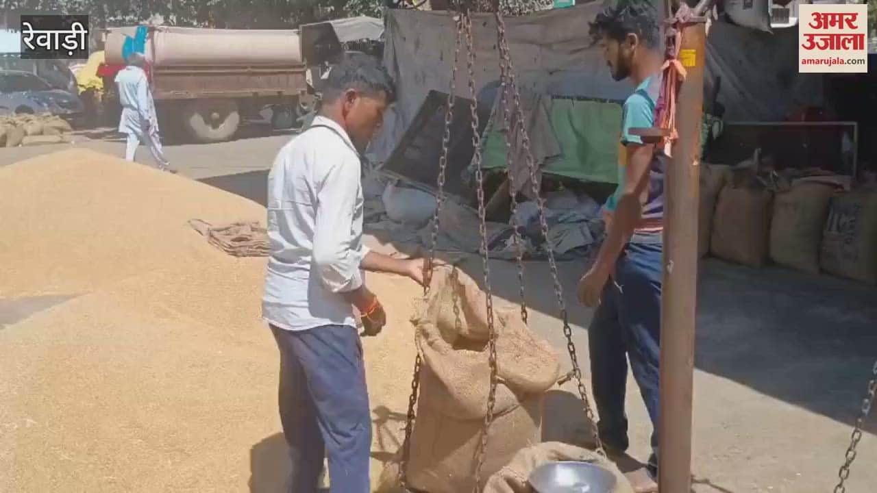 VIDEO : Arrival of wheat has started in Rewari grain market