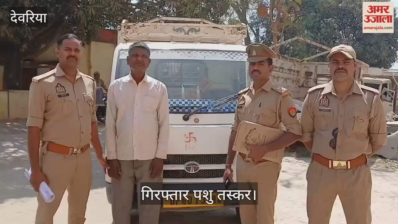 VIDEO : Police arrested cattle smuggler along with three cows and sent him to jail