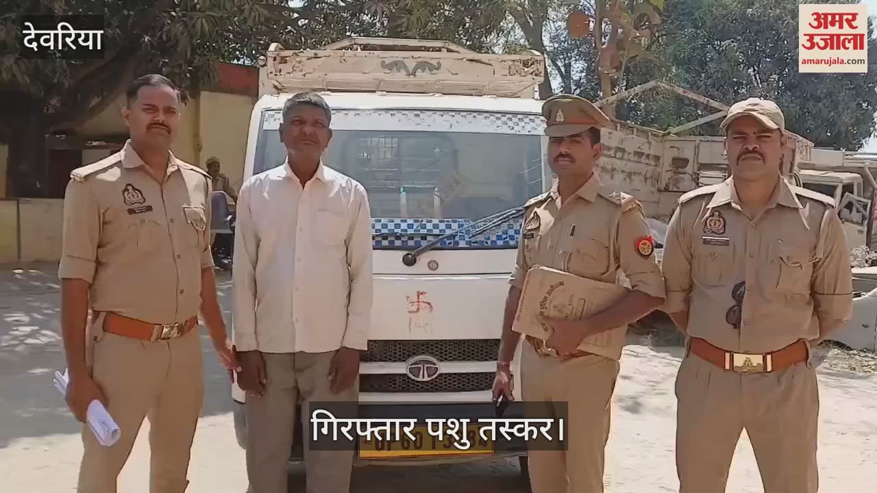 VIDEO : Police arrested cattle smuggler along with three cows and sent him to jail