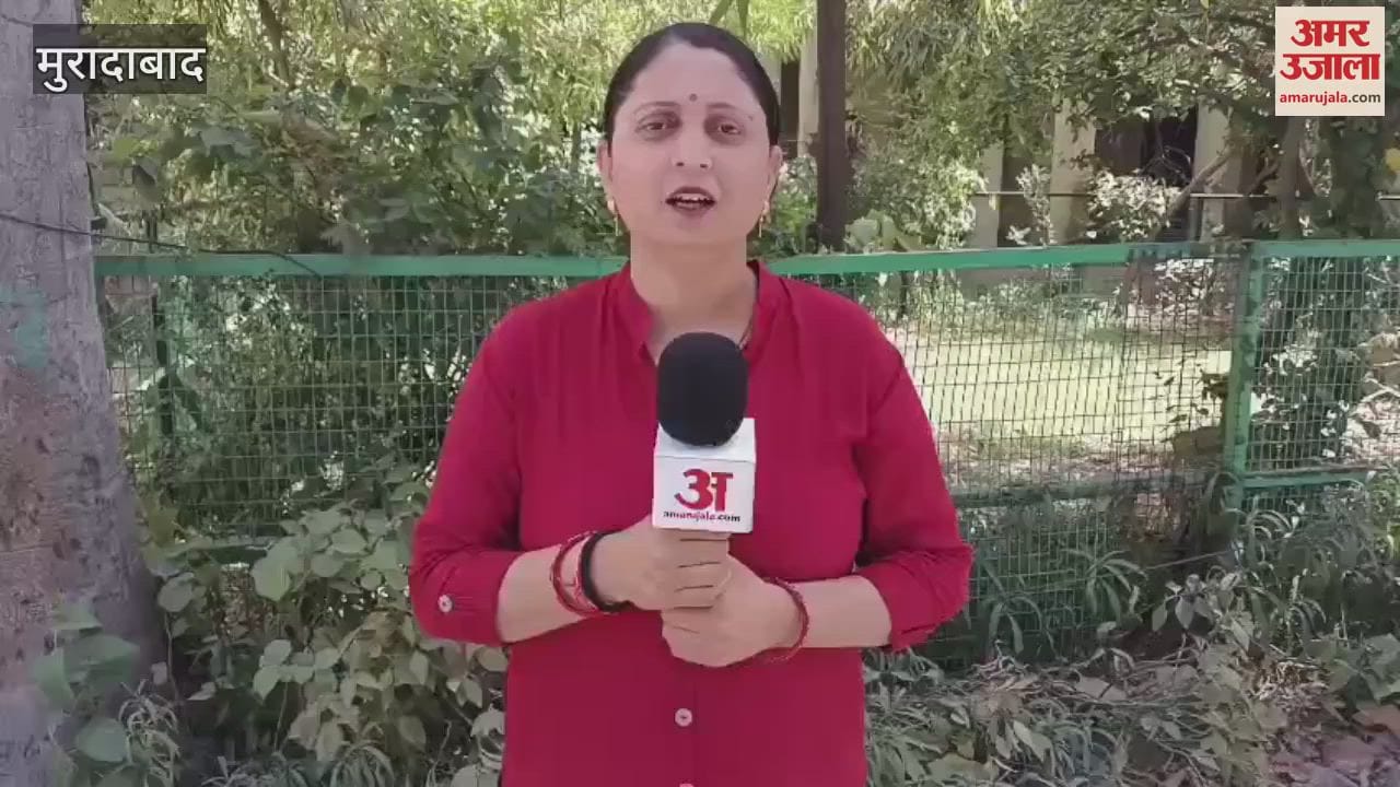 VIDEO : people of Moradabad are spellbound by the Ghibli style image, people said this in a conversation