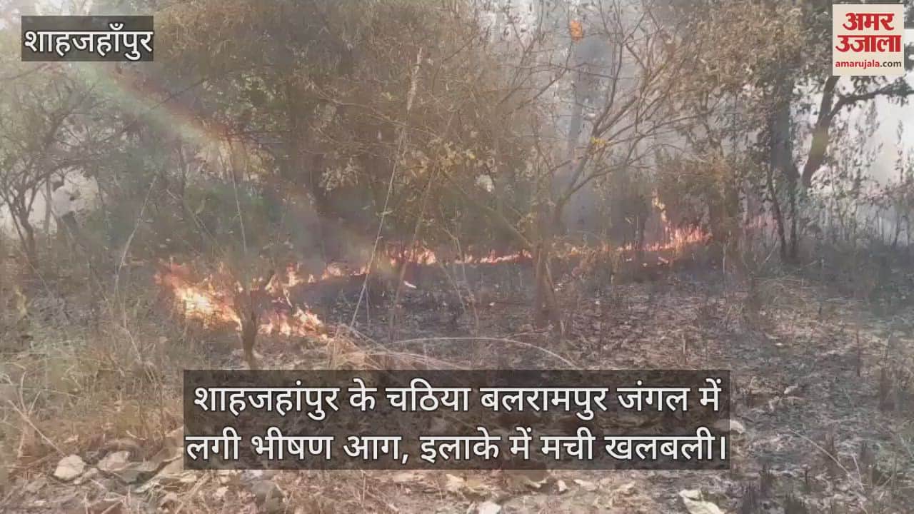 VIDEO : fire broke out in Chathiya Balrampur forest of Shahjahanpur