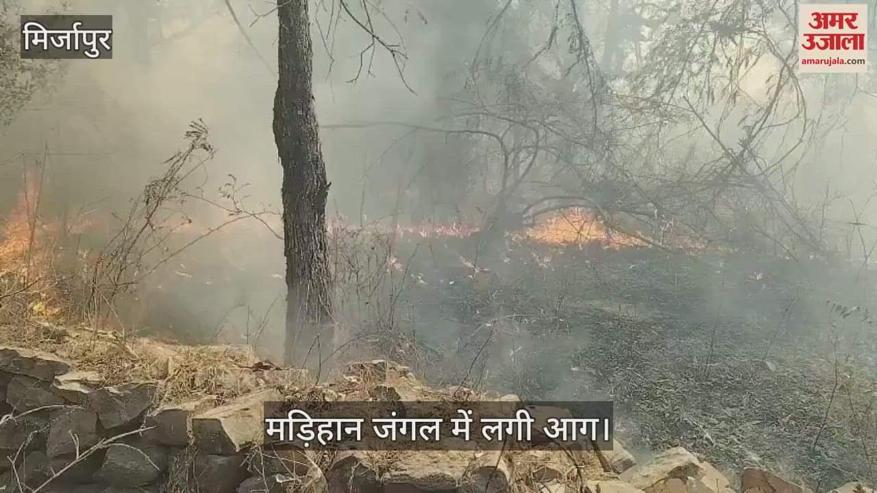 VIDEO : Panic due to fire in Madihaan forest near Mirzapur fire brigade team reached the spot