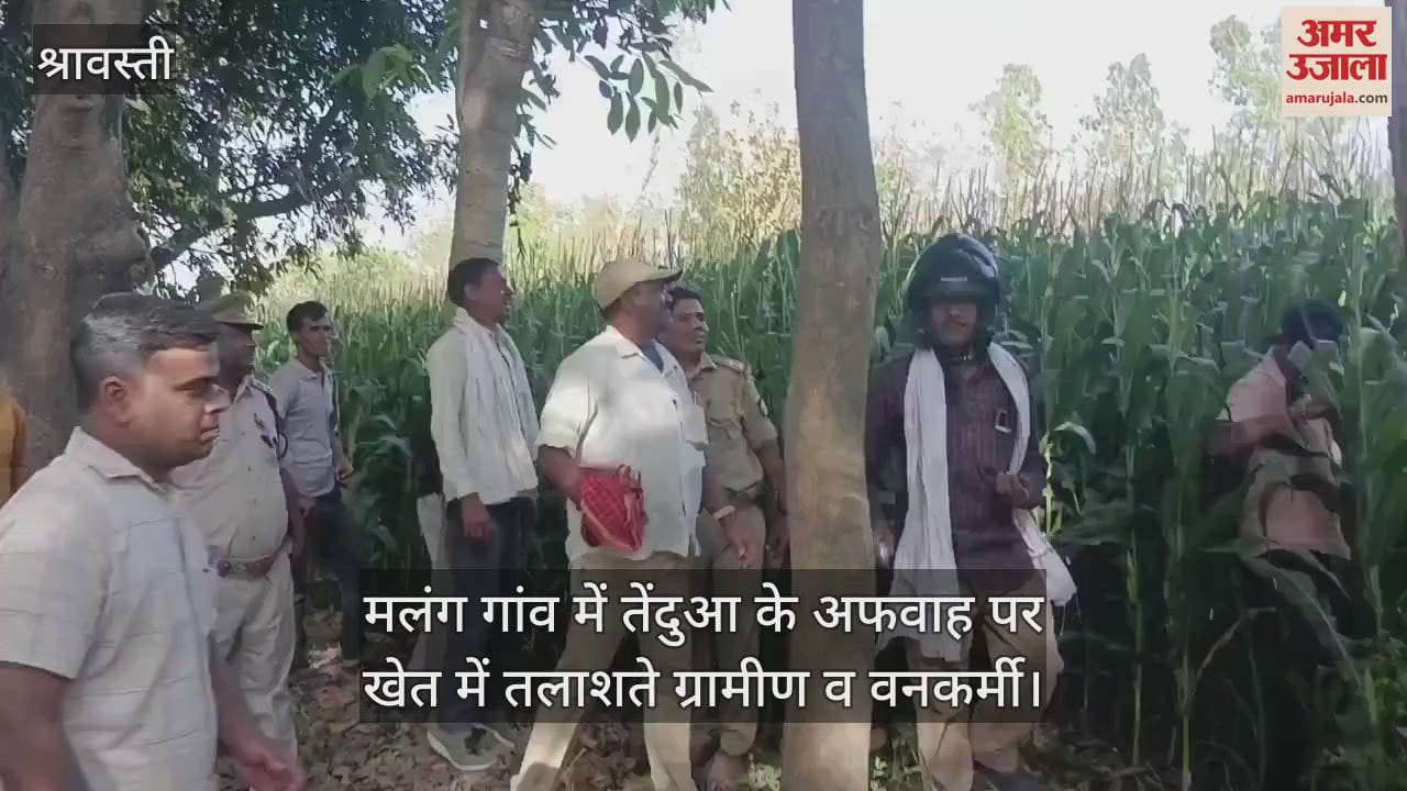 VIDEO : श्रावस्ती: तेंदुआ होने की अफवाह पर ग्रामीणों संग खेत खंगालते रहे वनकर्मी, सूचना पर पहुंचे वनकर्मी