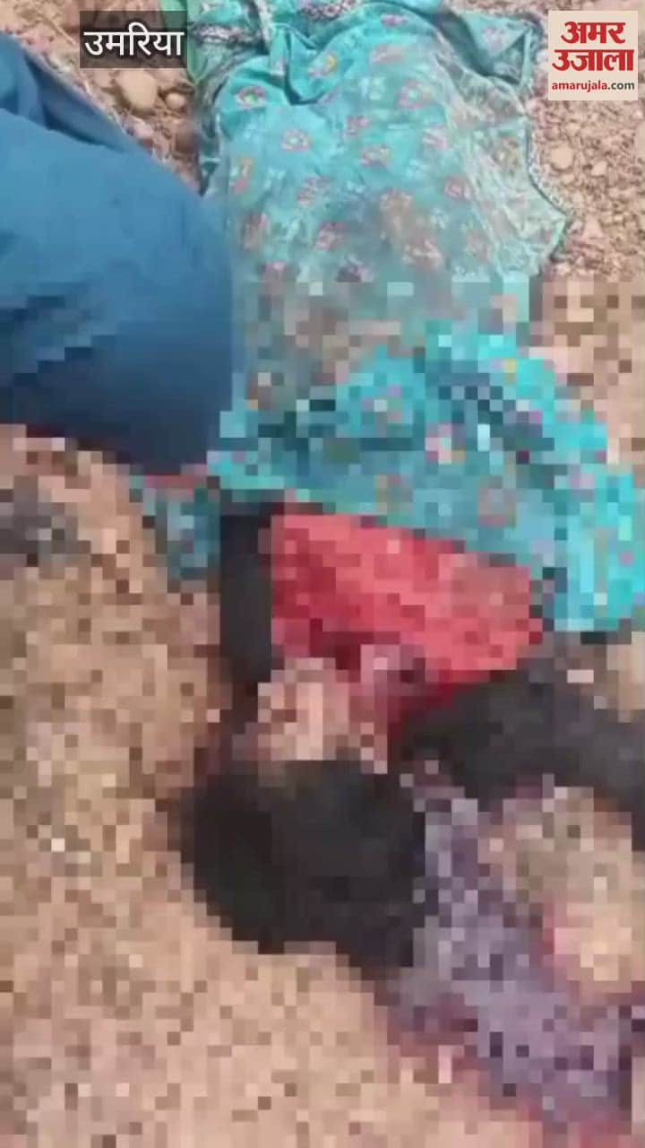 Woman dies in tiger attack, panic in village in umaria