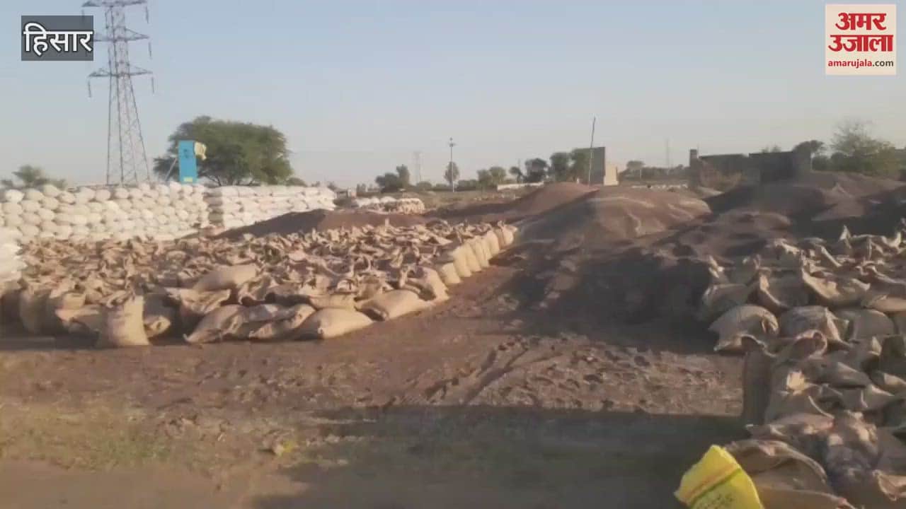 VIDEO : Even after two decades, there is no shed in Agroha Mandi of Hisar, farmers are worried