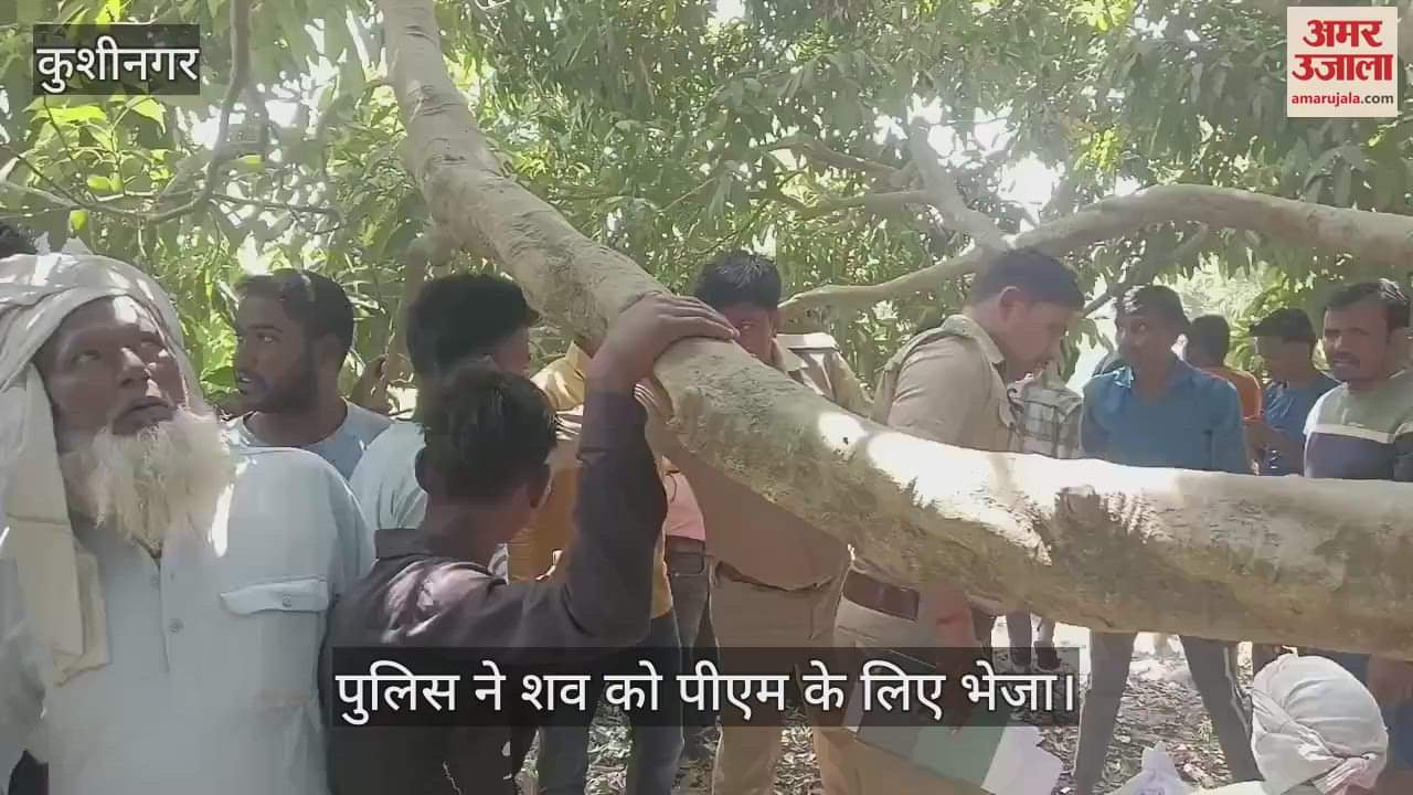 VIDEO : The body of a young man was found hanging from a tree in the garden