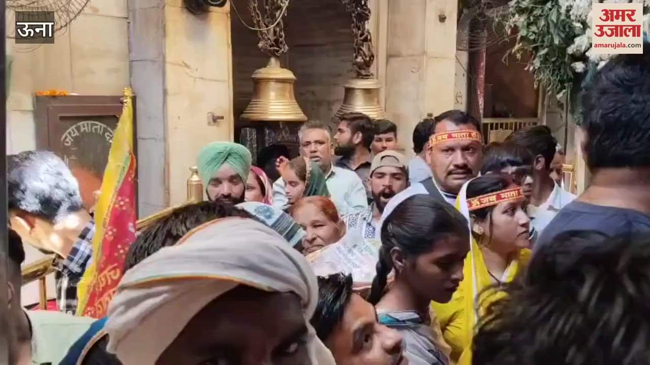 VIDEO : 34 lakhs were offered in the first three Navratris at Chintapurni temple 50000 devotees attended the court of the mother