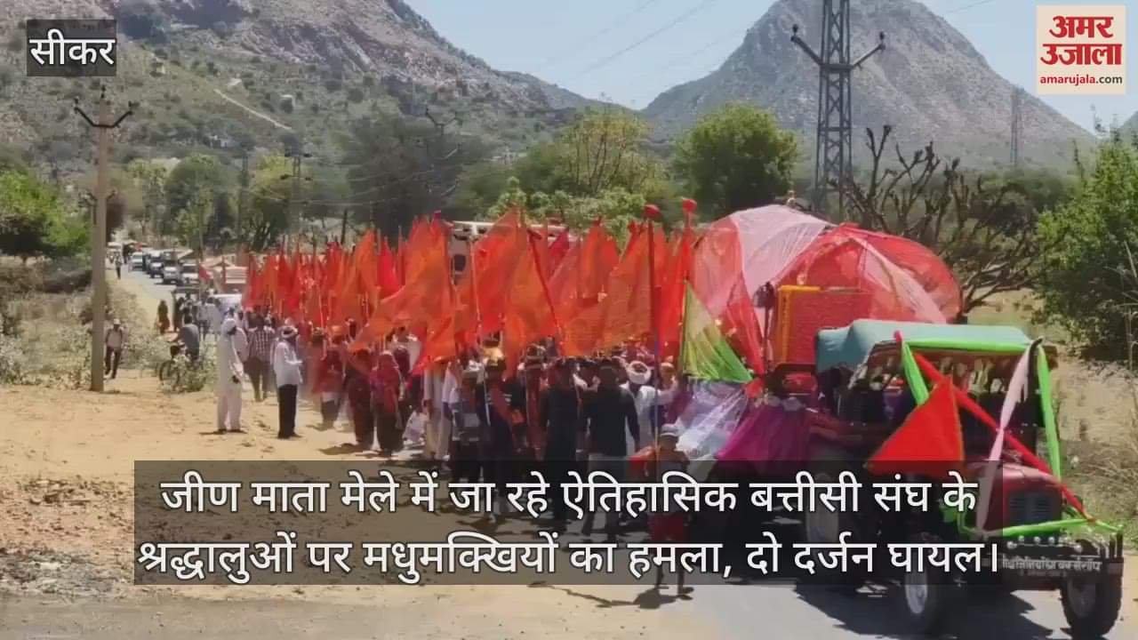 Sikar News Bees attack devotees of Batisi Sangh going to Jeen Mata fair more than 20 people injured