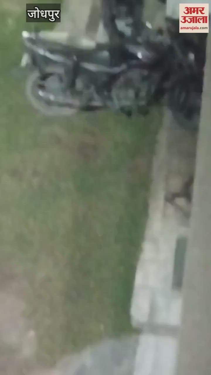 Jodhpur News Thieves leaving vehicles and focusing on petrol video of extracting oil from bike goes viral