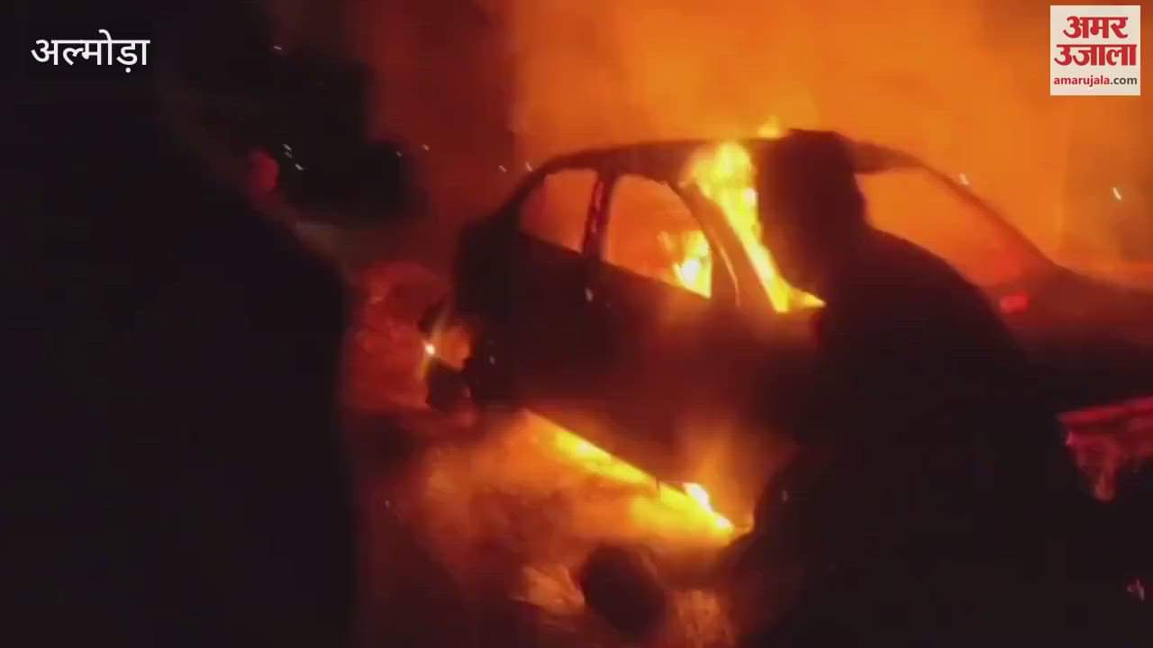 VIDEO : सड़क किनारे खड़ी कार बनी आग का गोला, कड़ी मशक्कत के बाद पाया काबू