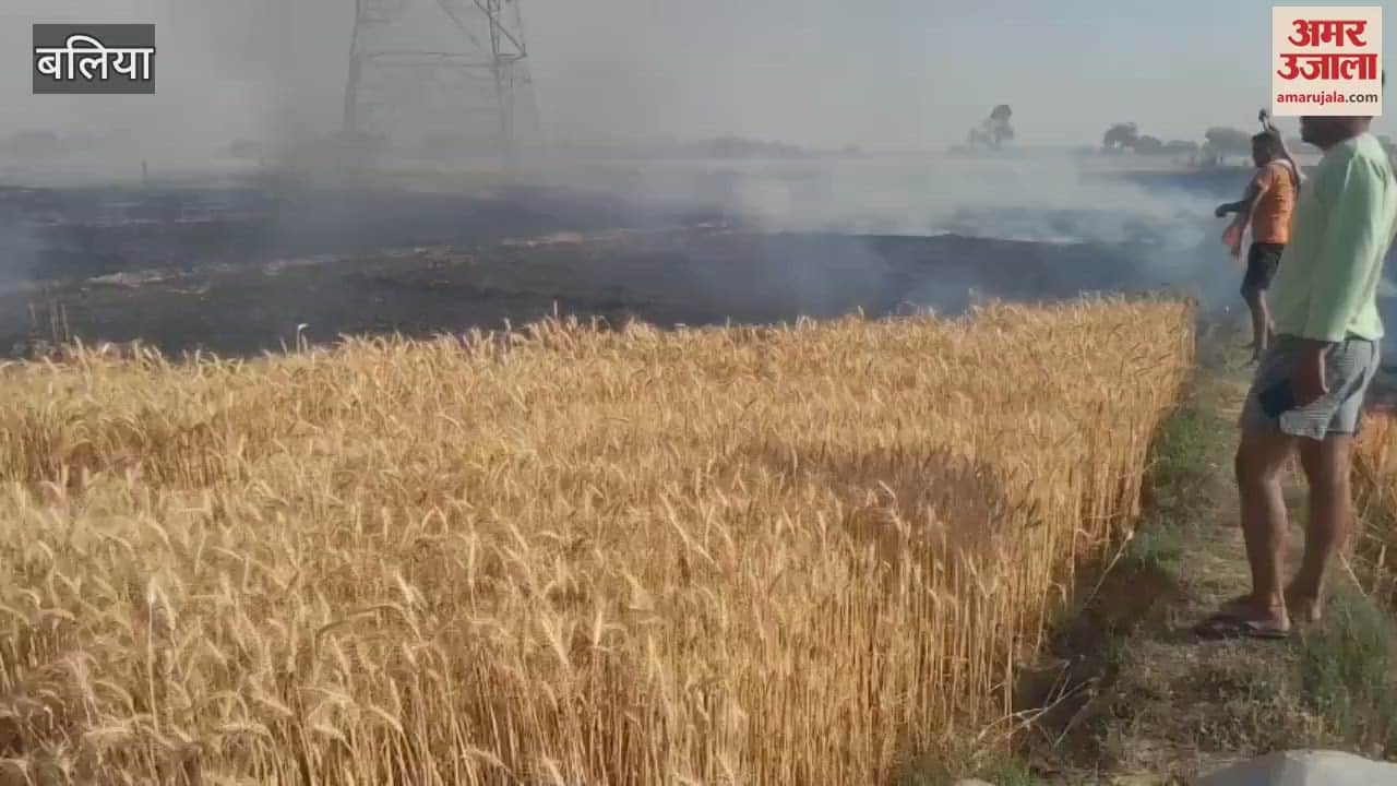 VIDEO : Wheat crop standing in five bighas burnt to ashes in fire