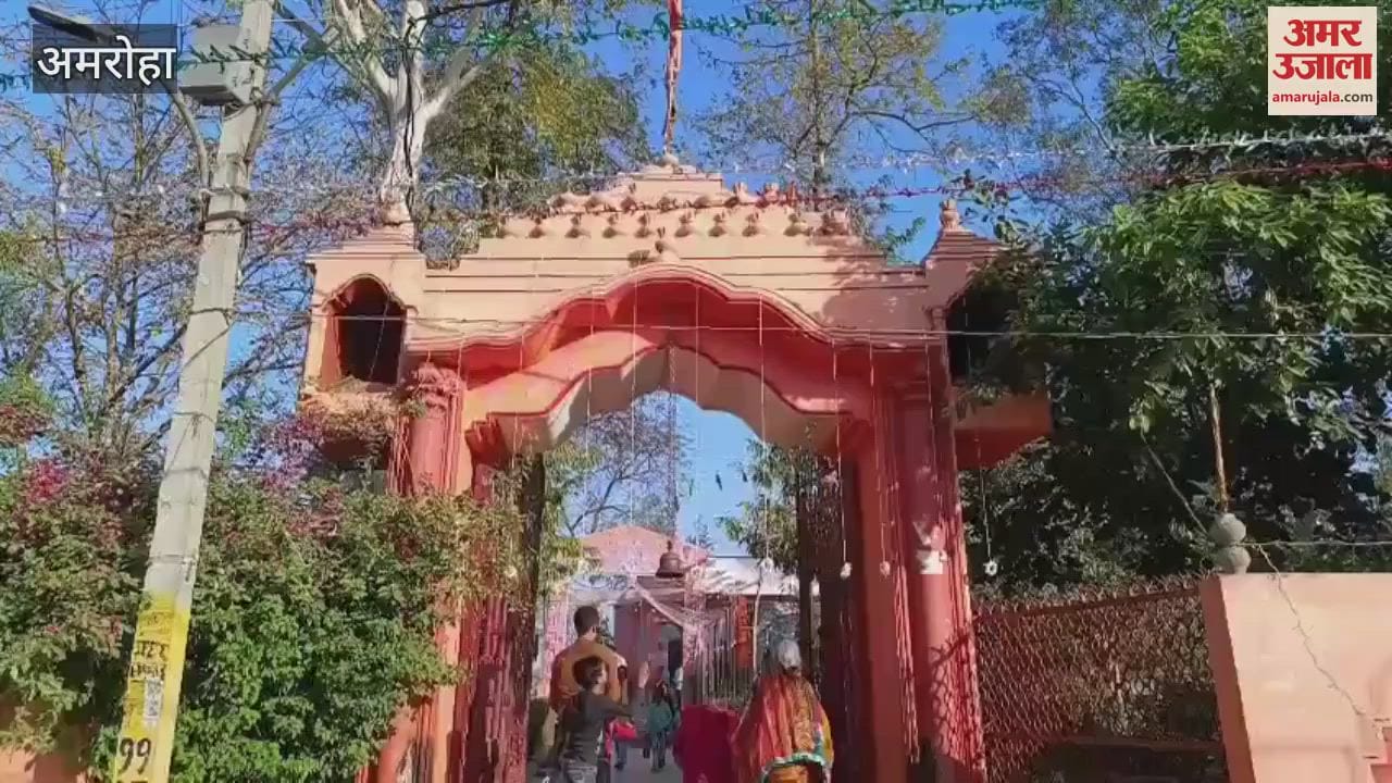 VIDEO : Devotees of Devi Mata gathered in Navdurga Chamunda temple, Havan-Kirtan in homes