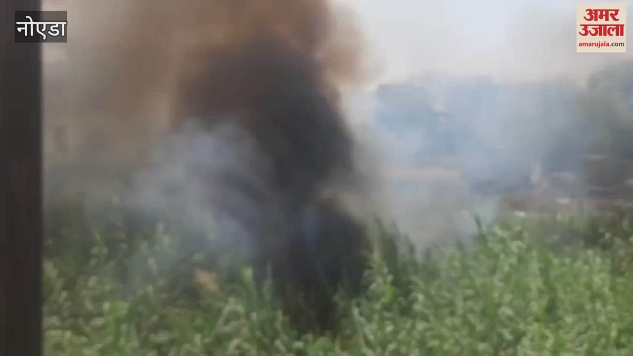 VIDEO : A spark from an electricity substation in Greater Noida caused a fire in the bushes