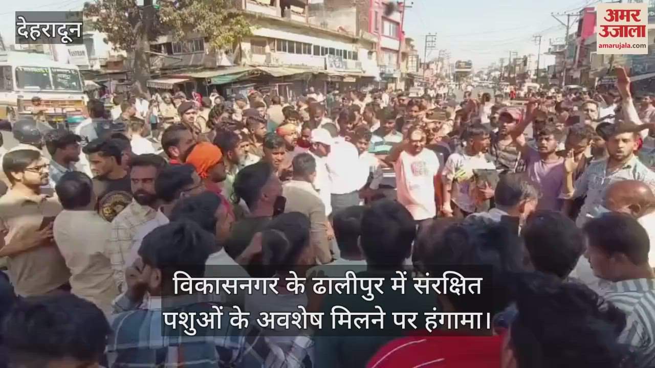VIDEO : VHP, Bajrang and other organizations protested and blocked the highway after finding remains of protected animals