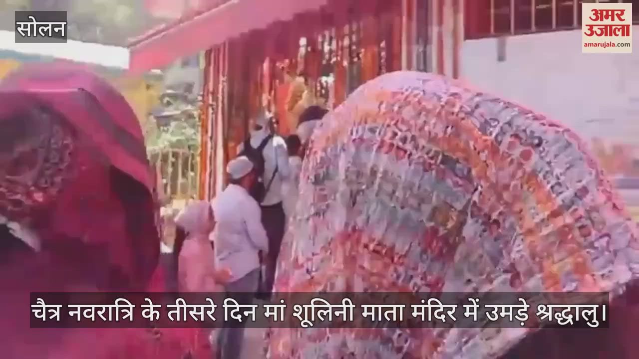 VIDEO : On the third day of Chaitra Navratri, devotees gathered at Maa Shulini Mata Temple