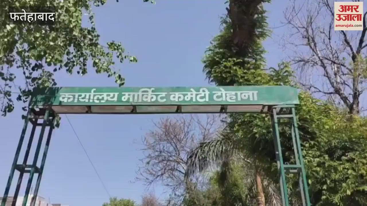 VIDEO : Government wheat procurement process started in Tohana of Fatehabad, farmers did not reach on the first day