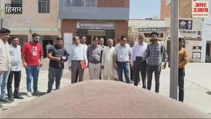 VIDEO : Demonstration by All India Kisan Sabha on delay in purchase of mustard in Hisar