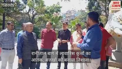 VIDEO : Terror of stray dogs in Ranital Bagh, ducks targeted