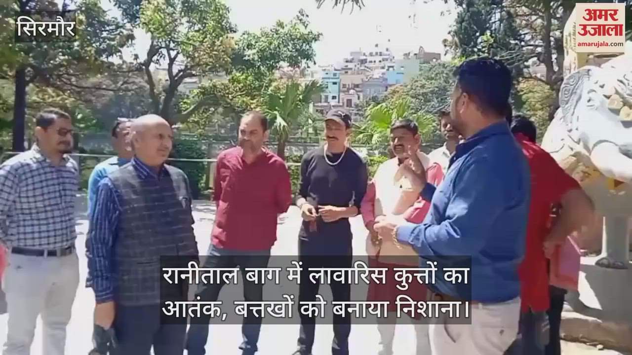 VIDEO : Terror of stray dogs in Ranital Bagh, ducks targeted