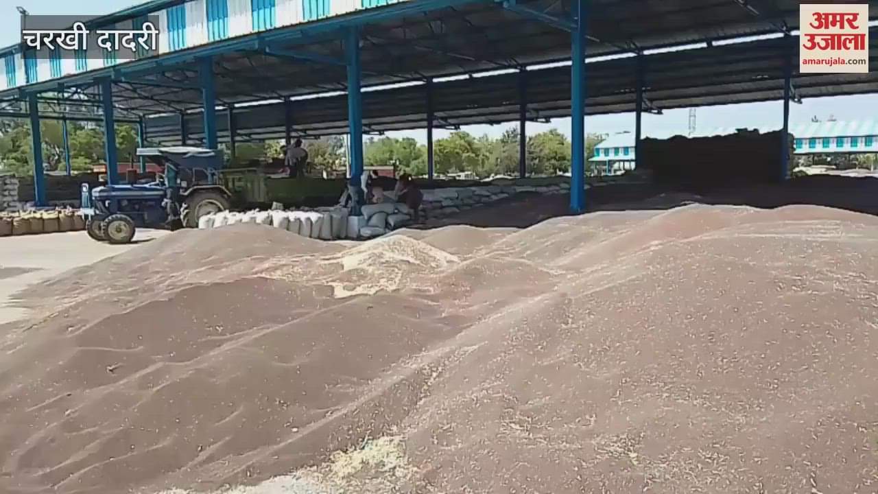 VIDEO : Preparations started in the markets for wheat purchase in Dadri, waiting for arrival