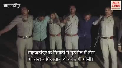 VIDEO : Three cow smugglers arrested in an encounter in Nigohi Shahjahanpur