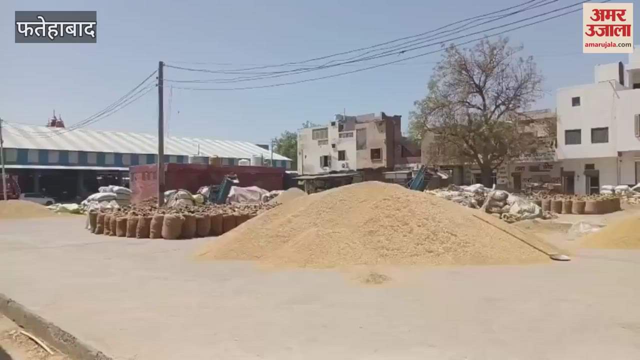 VIDEO : There was no arrival on the first day of wheat purchase in Fatehabad