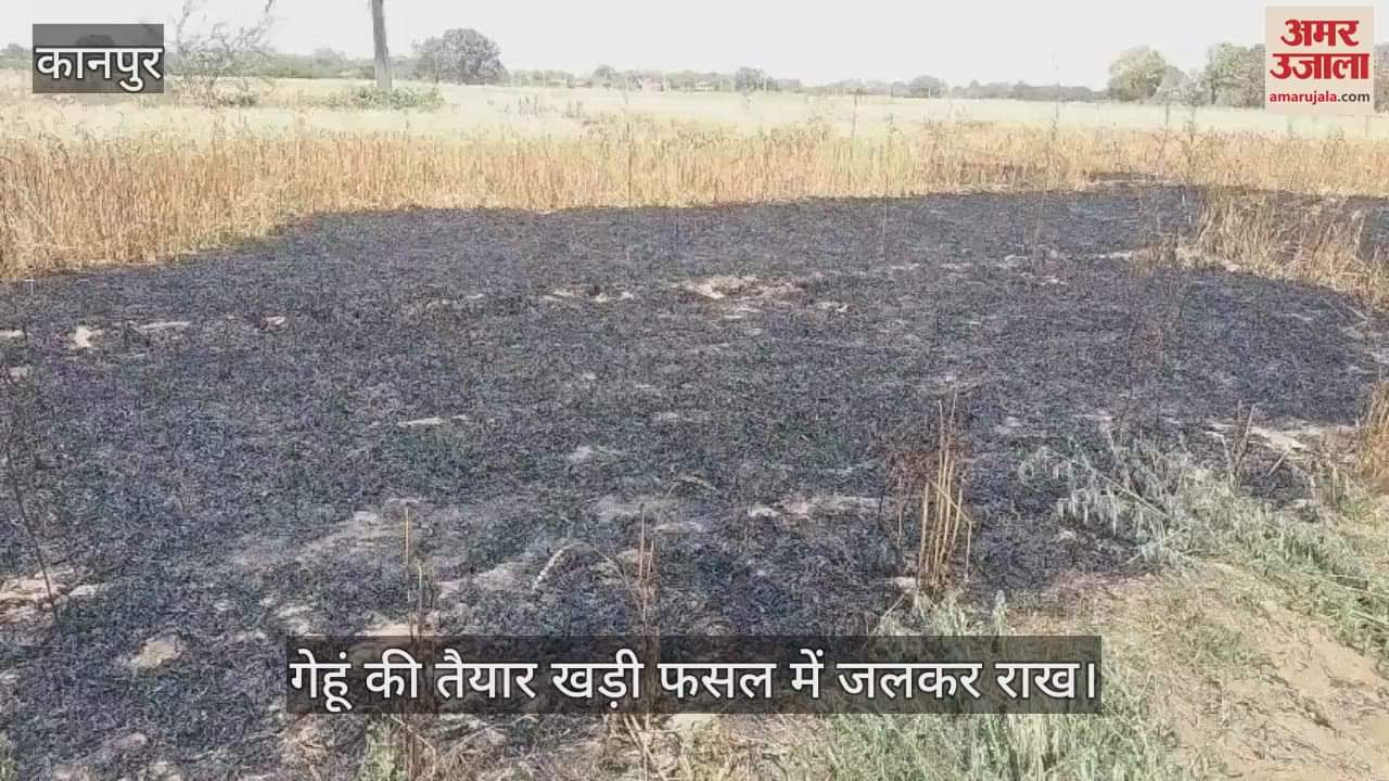 VIDEO : Kanpur…गेहूं के खेत में शॉर्ट सर्किट से लगी आग…फसल जलकर राख, बिजली विभाग पर लापरवाही का आरोप