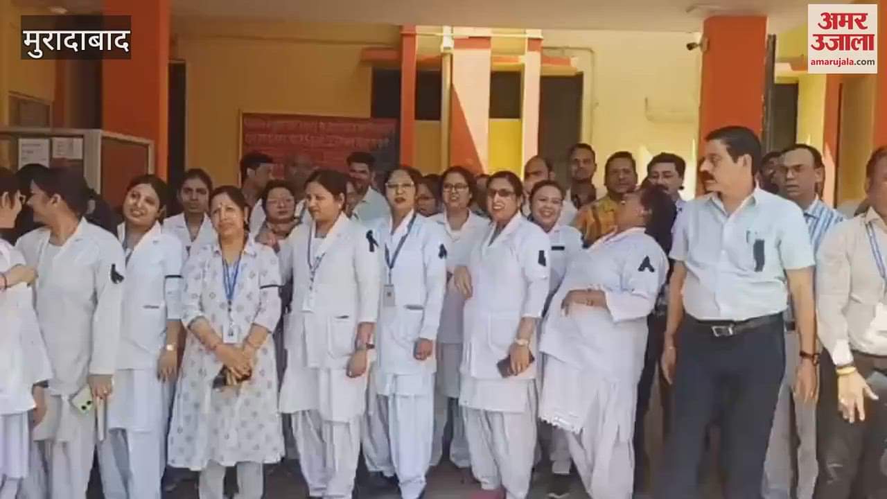 VIDEO : Employees protest against UPS in Moradabad, said- struggle will continue till old pension is restored