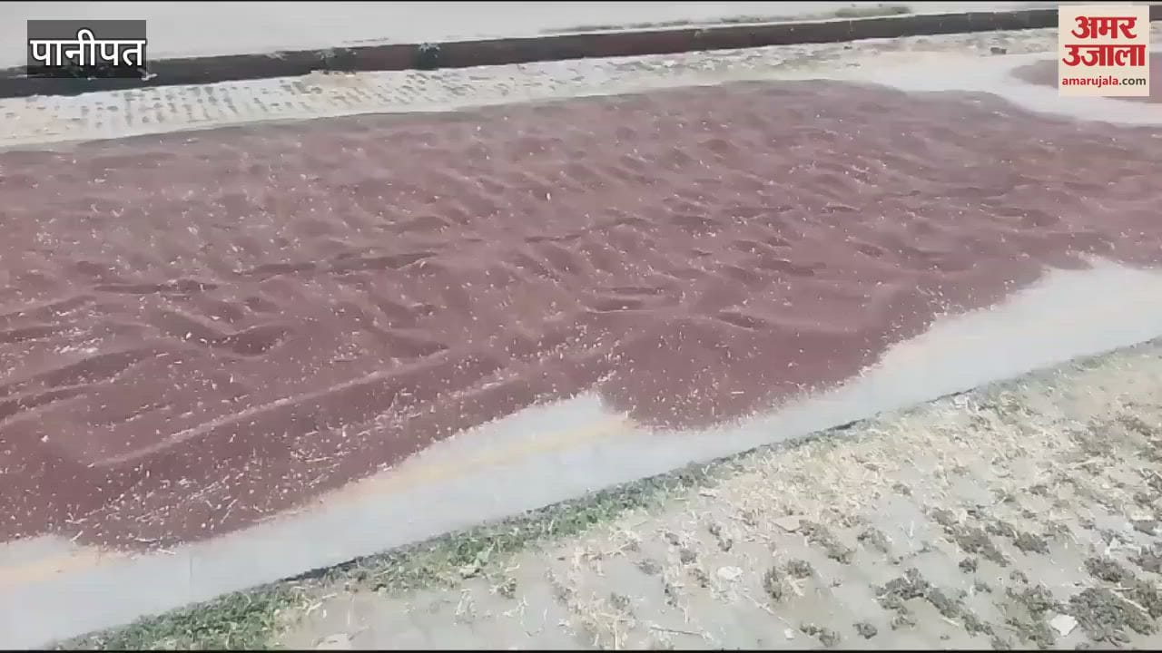 VIDEO : 12 Mandis and centers were made for the purchase of wheat in Panipat, adequate arrangements could not be made in the Mandis