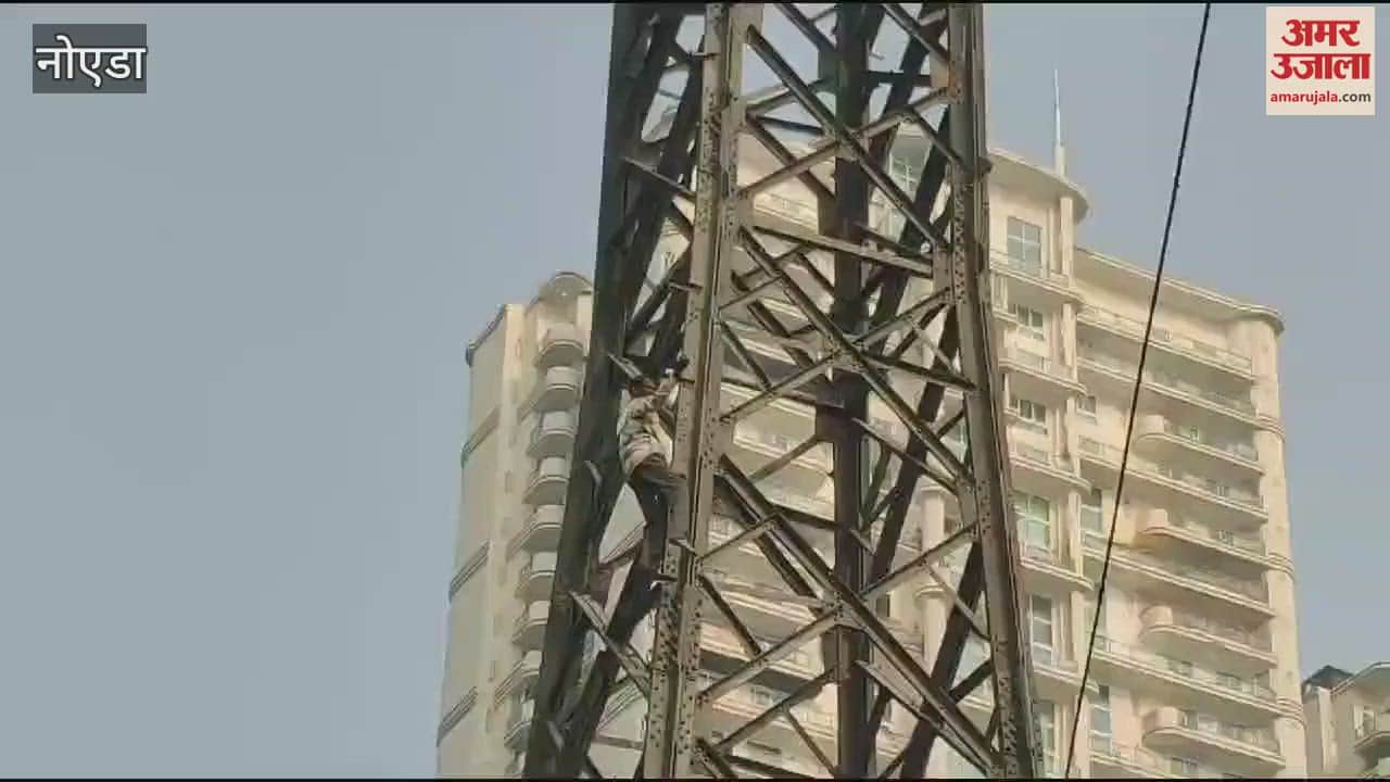 VIDEO : a man climbed a high tension electricity pole and danced In Noida