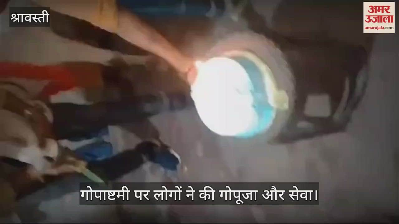 VIDEO : गोपाष्टमी पर की गोपूजा और सेवा, धूमधाम से मनाया बछिया का जन्मदिन