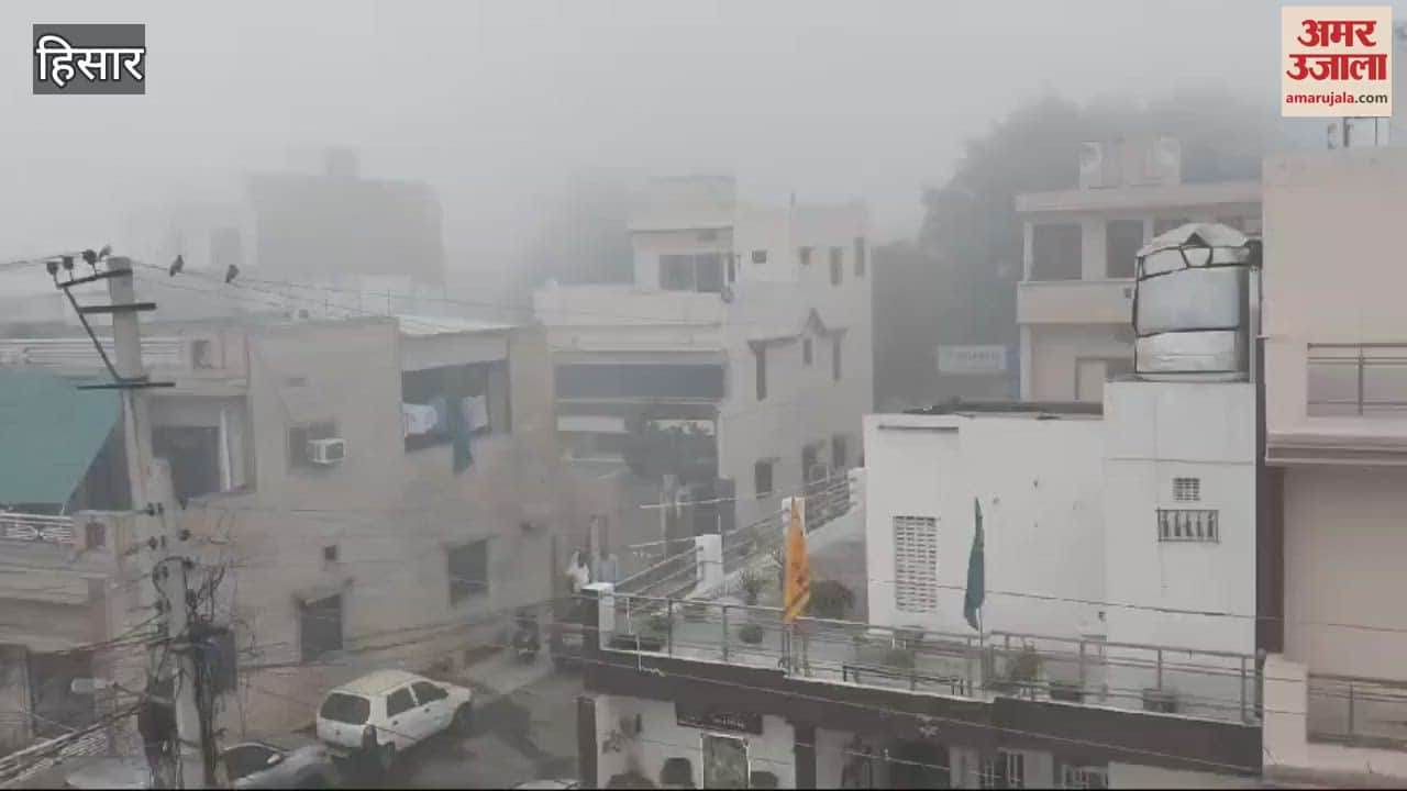 VIDEO : Fog in Hisar