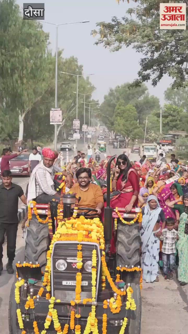 Dausa Bypoll Independent candidate Vipra Goyal showed his strength before end election campaign watch video