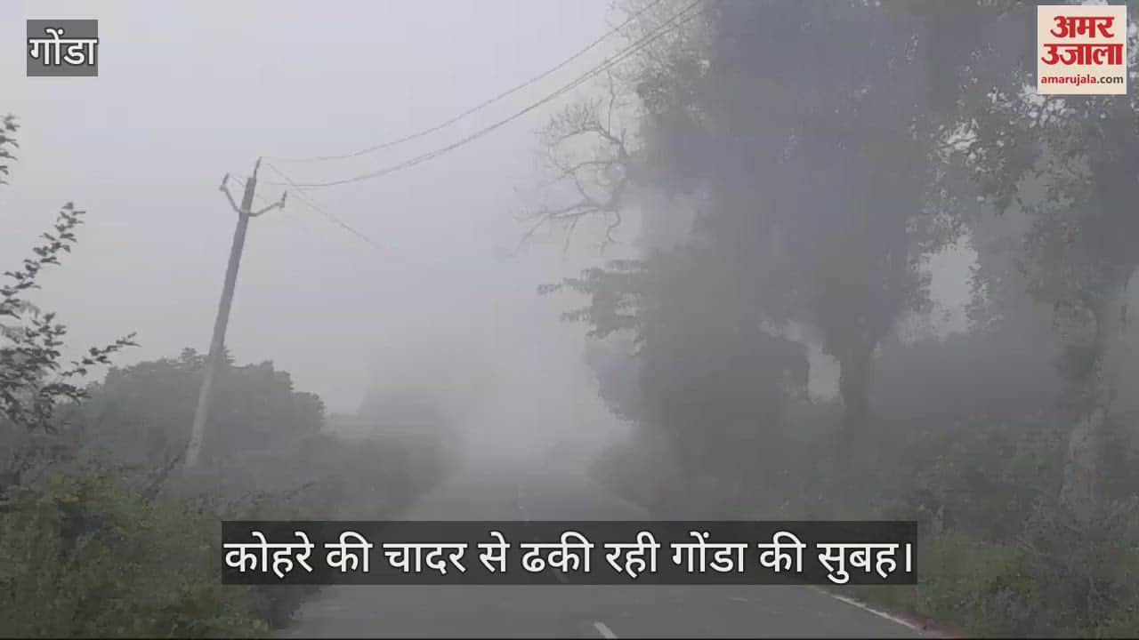 VIDEO : कोहरे की चादर से ढकी रही गोंडा की सुबह, कछुआ चाल से रेंगे वाहन