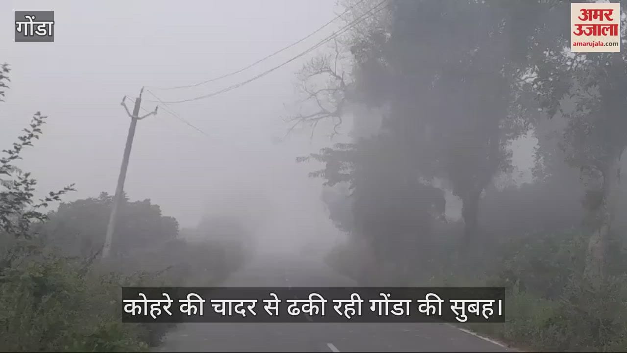 VIDEO : कोहरे की चादर से ढकी रही गोंडा की सुबह, कछुआ चाल से रेंगे वाहन