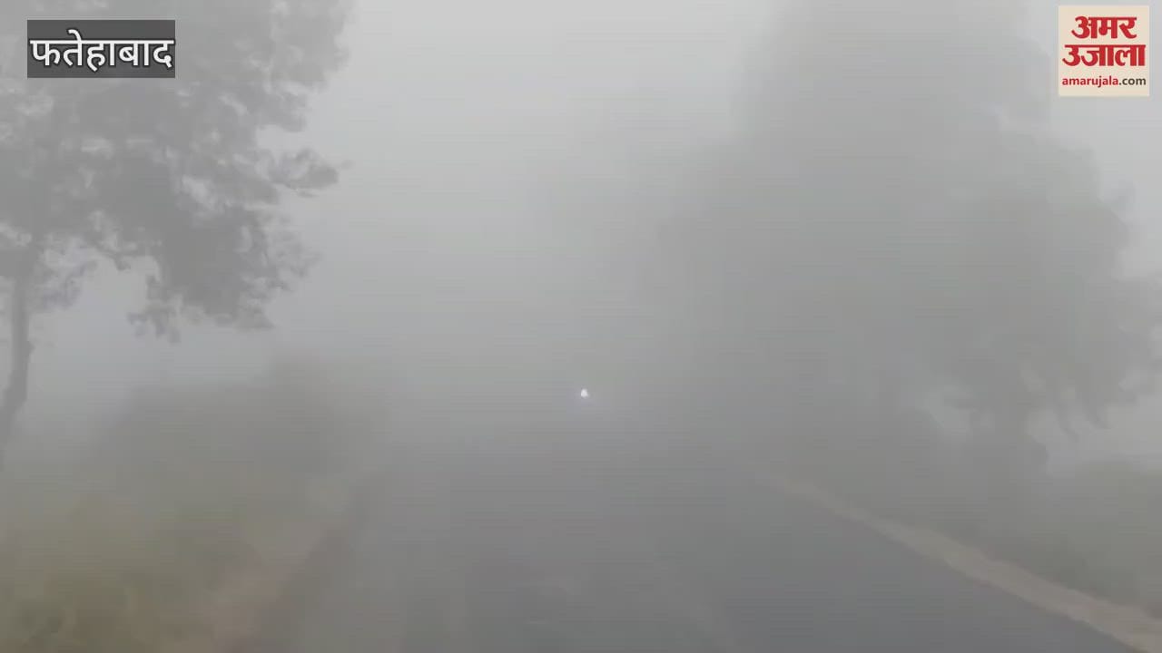 VIDEO : Fog in Fatehabad