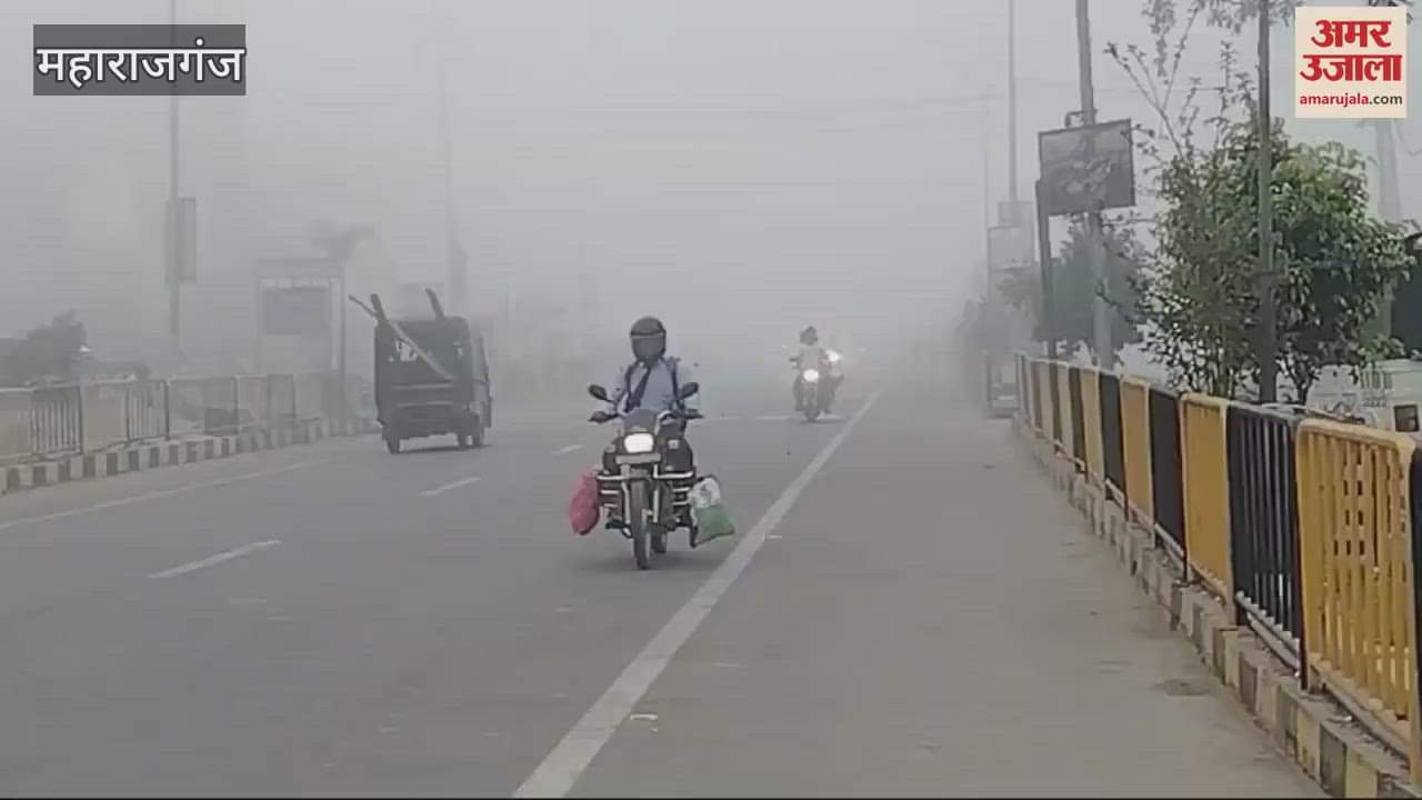 VIDEO : It is sunny during the day and cold at night in Maharajganj.