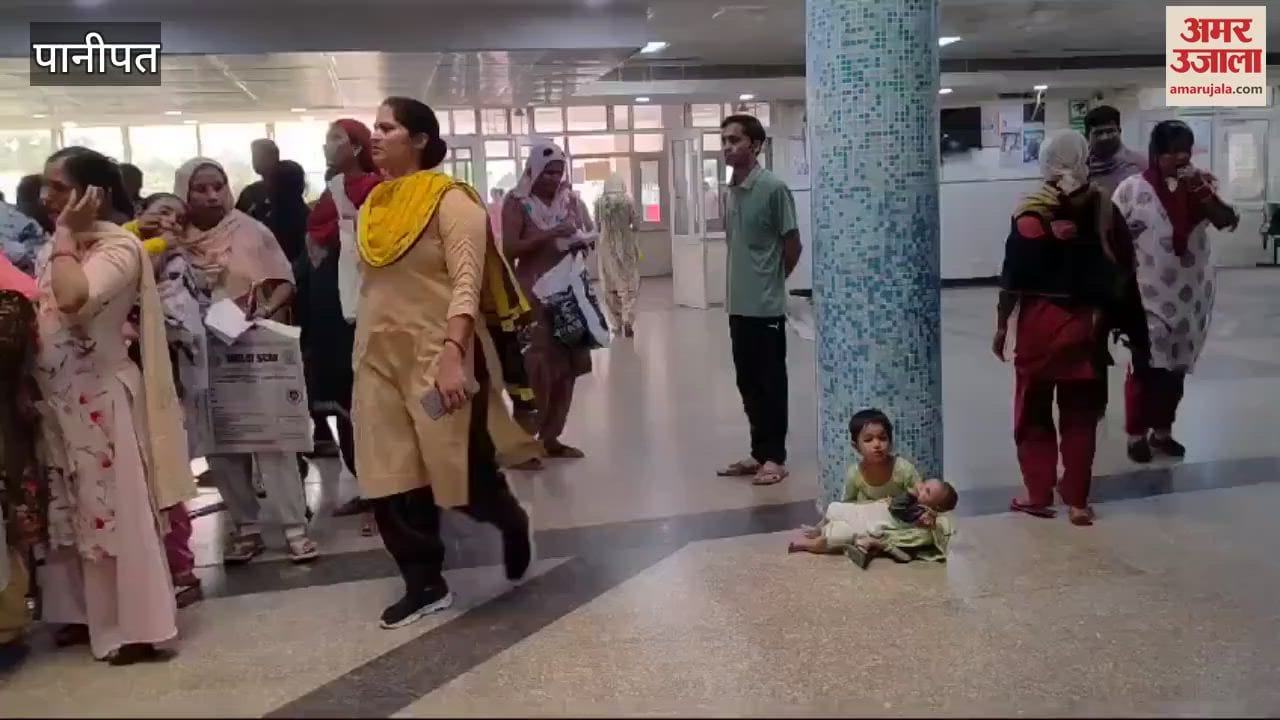 VIDEO : Textile city in Panipat is in the grip of dengue sting, OPD of viral fever is increasing