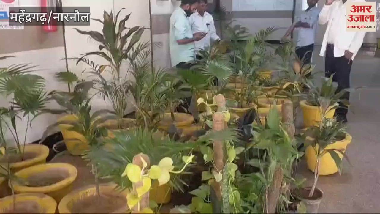 VIDEO : Now Sub Civil Hospital Kanina will smell with flowers and fragrance