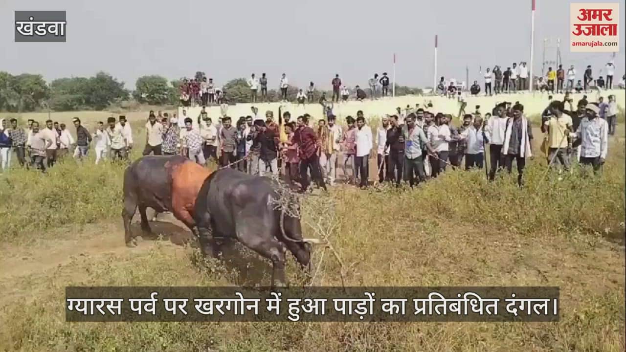 Banned wrestling of horses took place on Gyaras event in Khargone