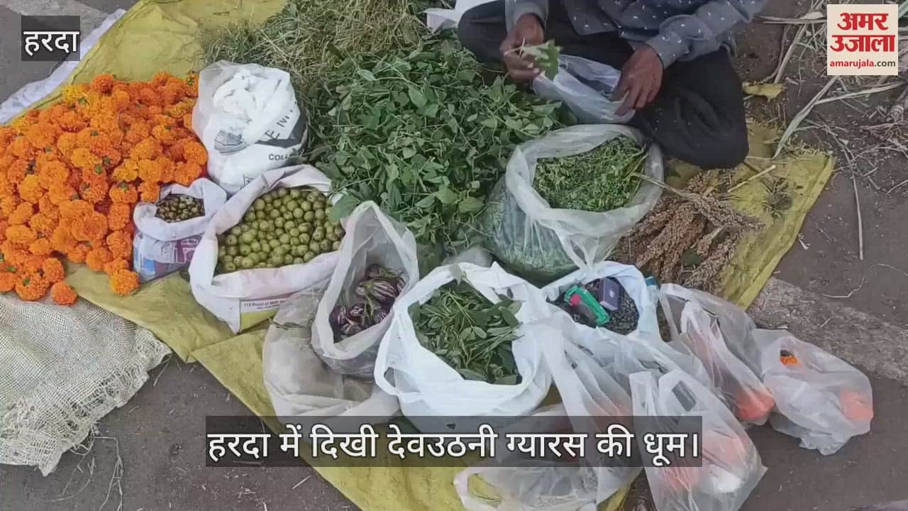 Harda: The marriage of Lord Shaligram and Tulsi will take place on Devuthani Gyaras, know the story behind it