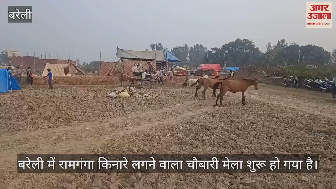 VIDEO : बरेली के चौबारी मेले के नखासे में बढ़ने लगी घोड़ों की तादाद, पहुंचने लगे खरीदार