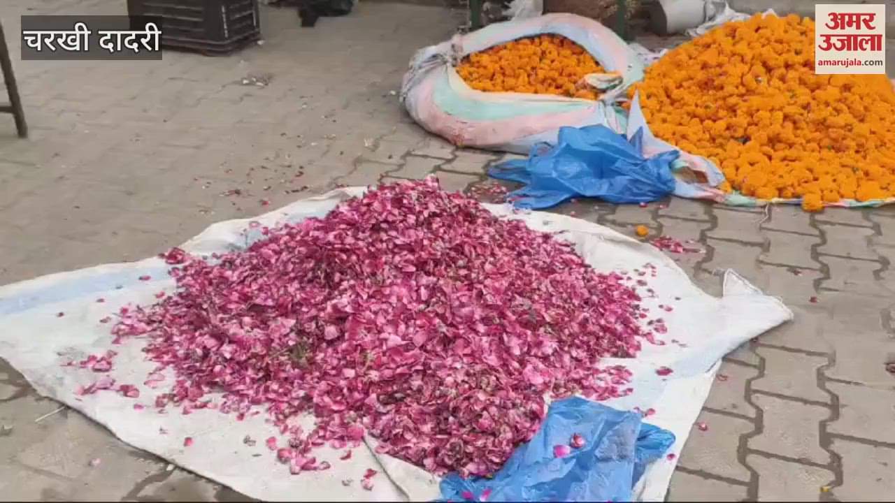 VIDEO : 500 couples will tie the knot on Devuthani Ekadashi, advance booking for decorating vehicles in full swing in Charkhi Dadri